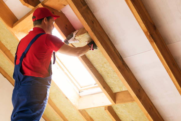 Eco-Friendly or Green Insulation Solutions in Mission Viejo, CA